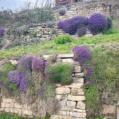 23-03-17 15-12-18 4928